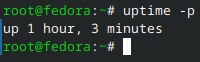 Время работы хоста — аптайм (Uptime).